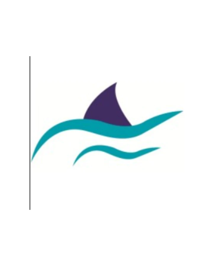 Snapir — operational data connected to Sada AI